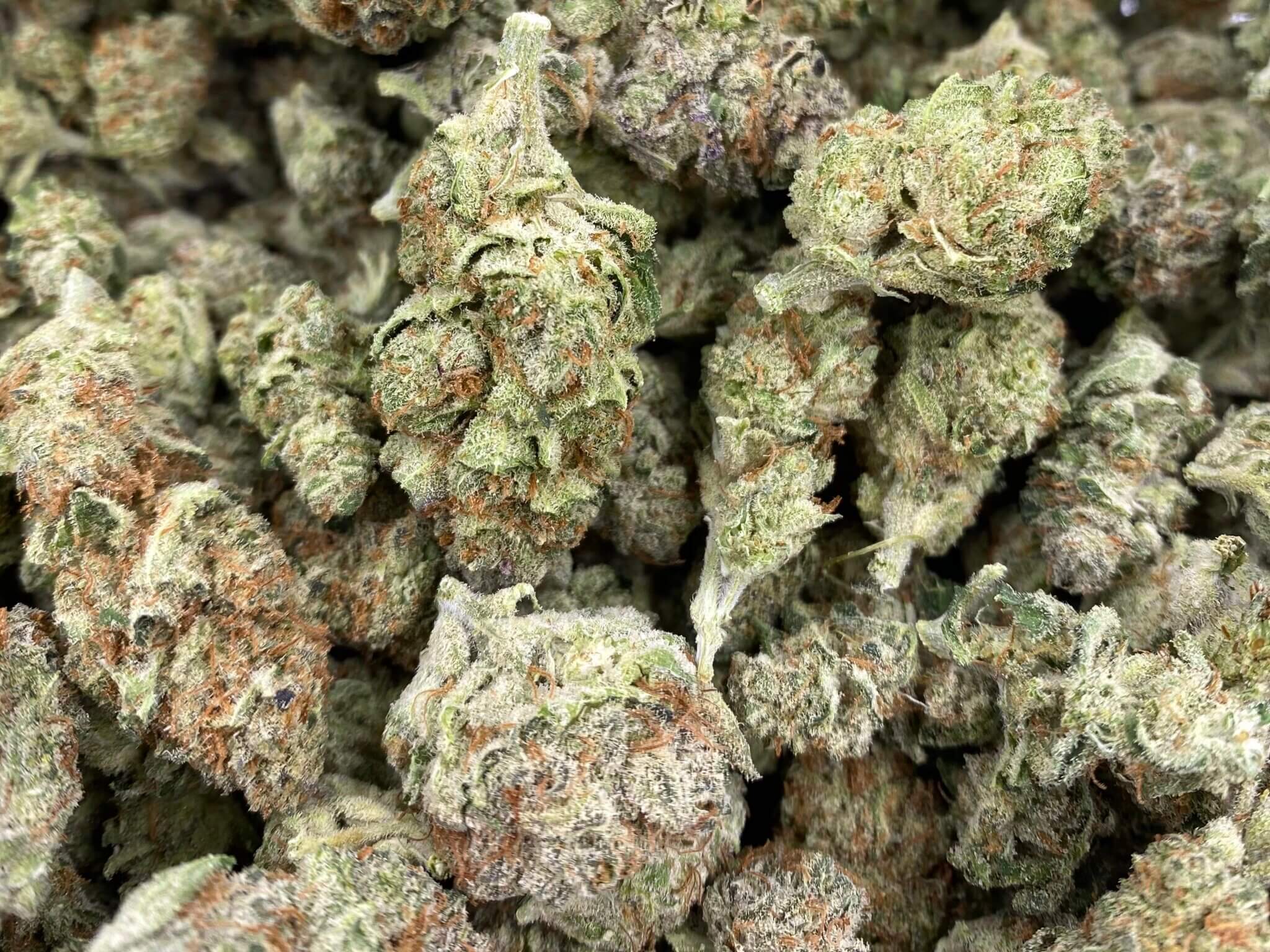 Amnesia haze описание