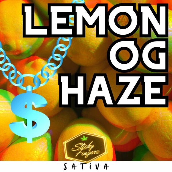 lemon og haze (1)