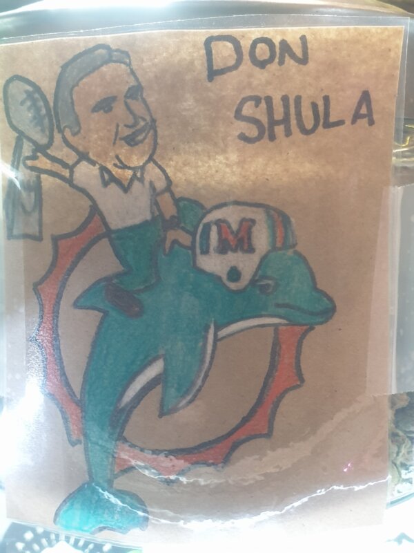 Don Shula
